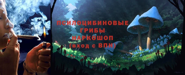 метадон Аркадак