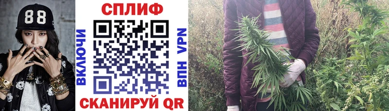 Конопля Amnesia  Павловский Посад 
